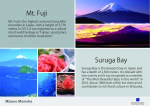 Momoka Mizuno, Page stopper × Mt. Fuji and Suruga Bay